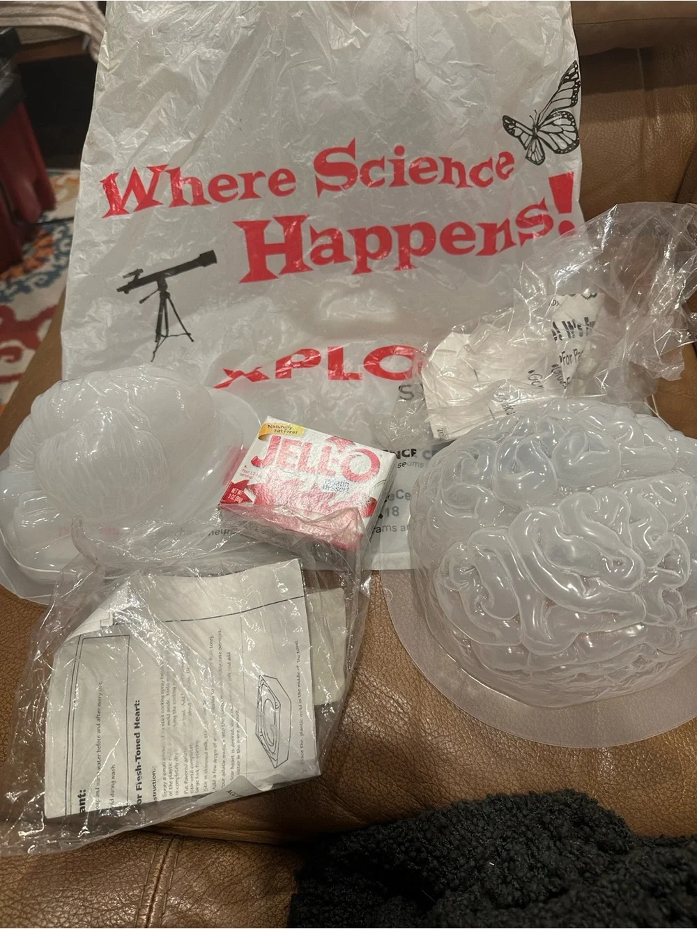 BNWT- Clear Plastic Brain & Heart Molds